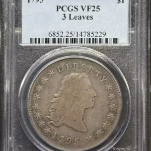 1795 P Silver Flowing Hair Dollar PCGS VF-25, 3 Leaves
