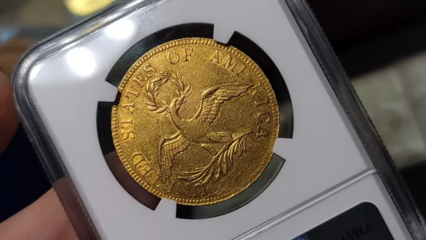 1795 13 Leaves Draped Bust Gold Eagle $10 NGC AU Detail Cleaned - Image 7