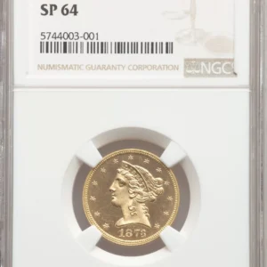 UNIQUE NGC SPECIMEN 64 $5 1873 Closed 3 Experimental Finish