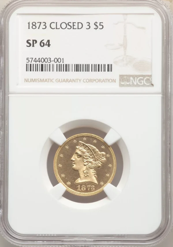 UNIQUE NGC SPECIMEN 64 $5 1873 Closed 3 Experimental Finish